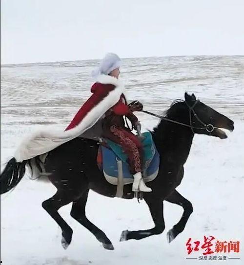 配马视频,揭秘马匹训练与搭配的奥秘